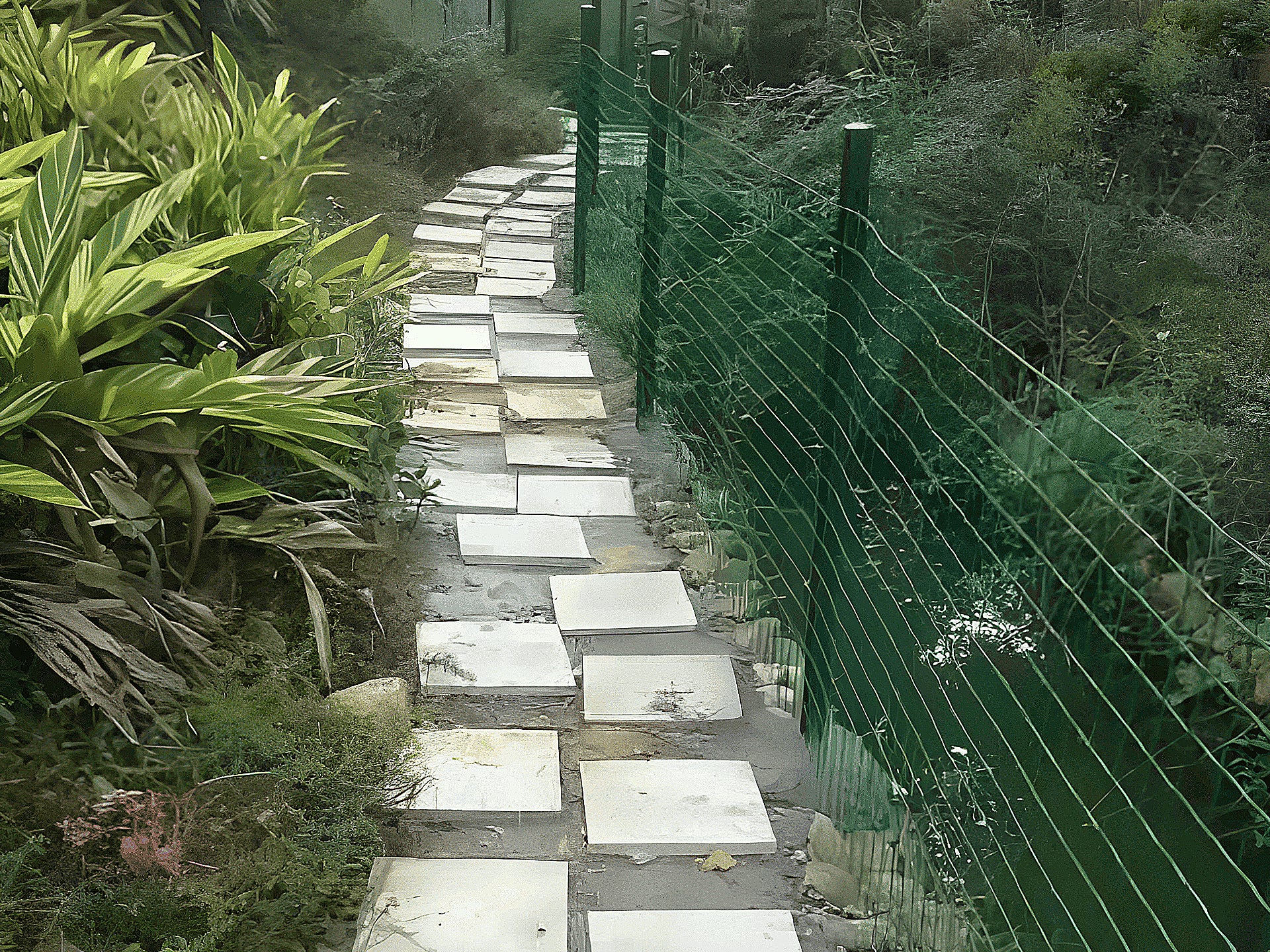 1.8x30m PVC Coated Wire Netting Fence - Image 6