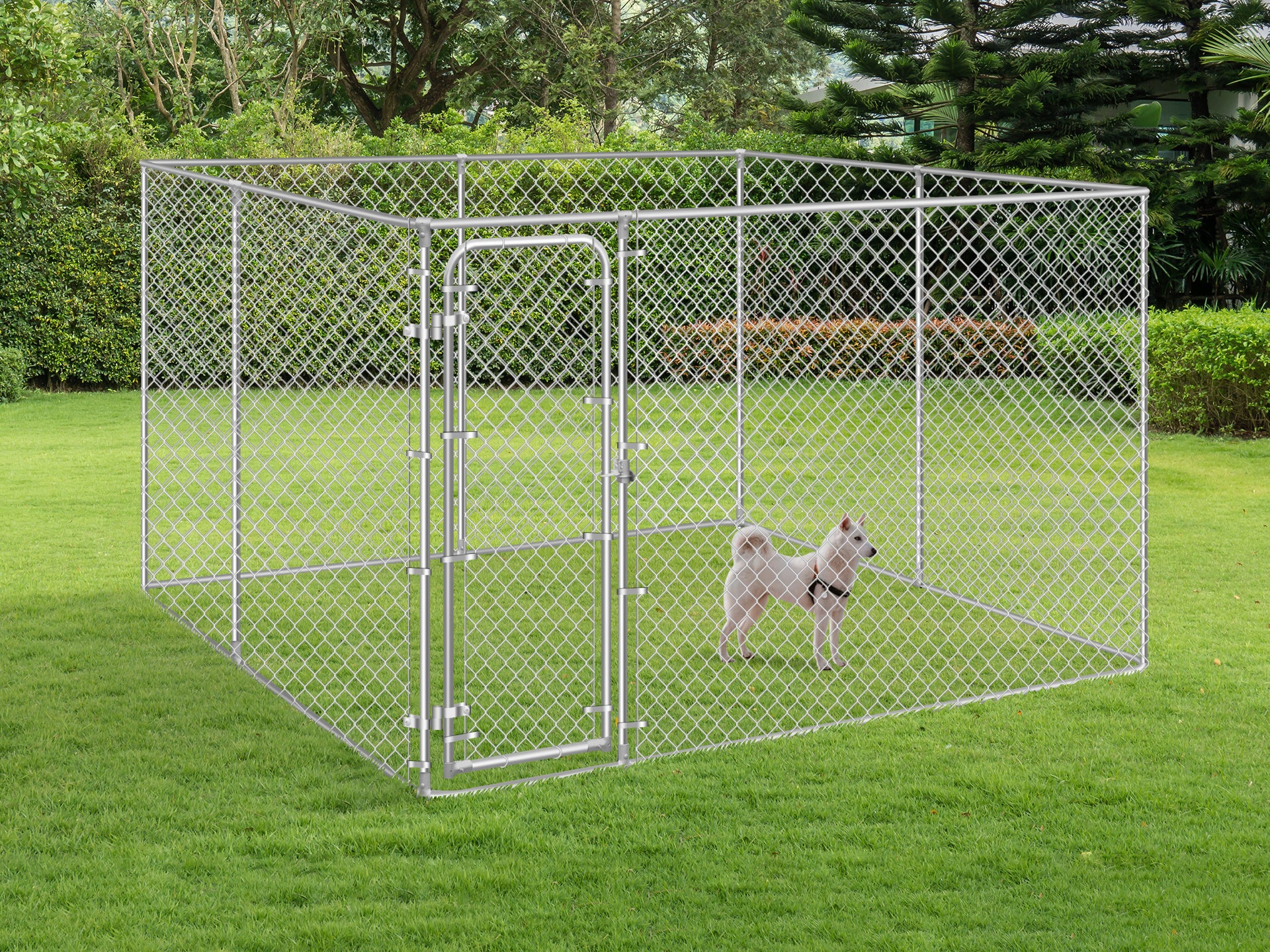 Bingo Dog Kennel and Run 3 x 3 x 1.83m - Image 13