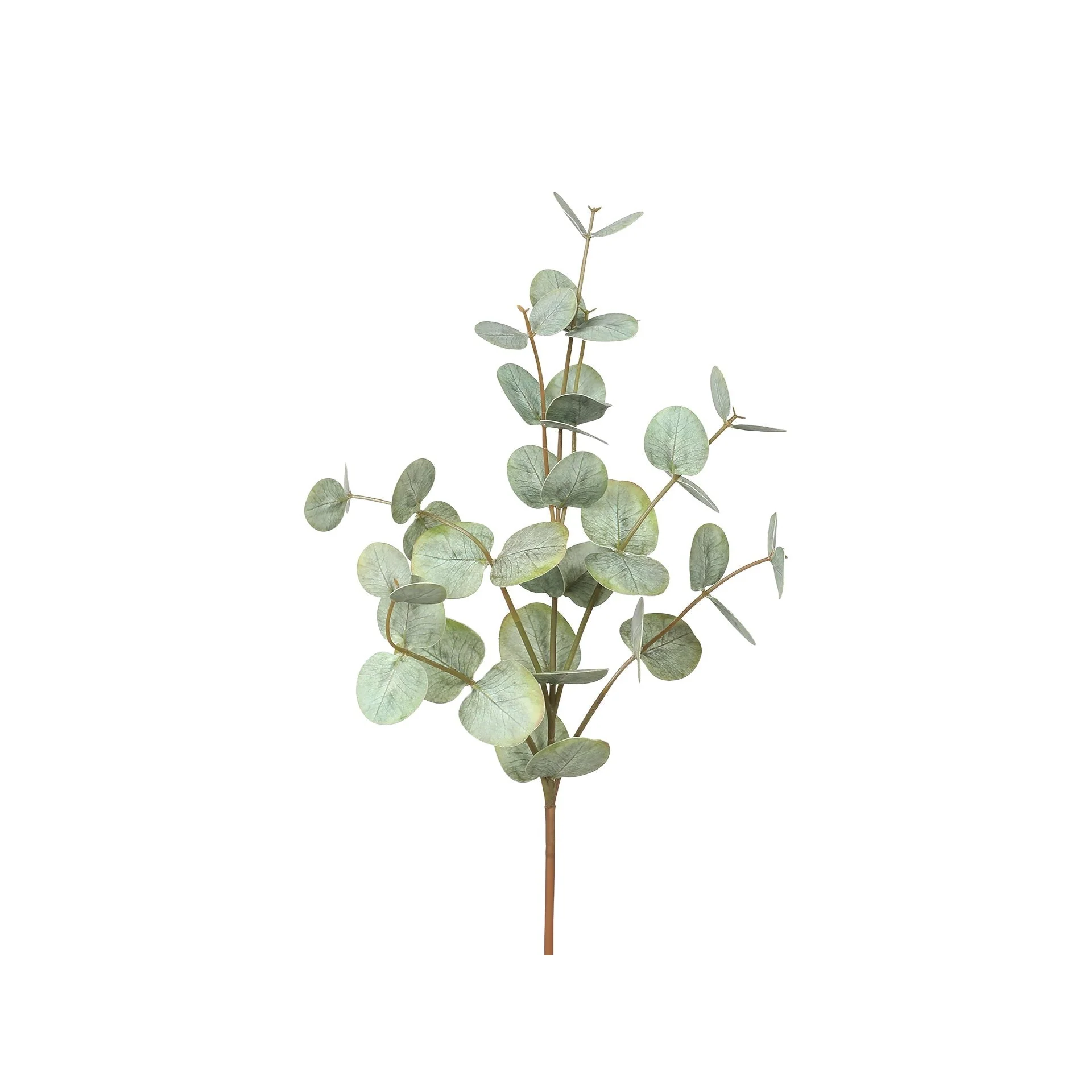 Eucalyptus Branch Green 75cm