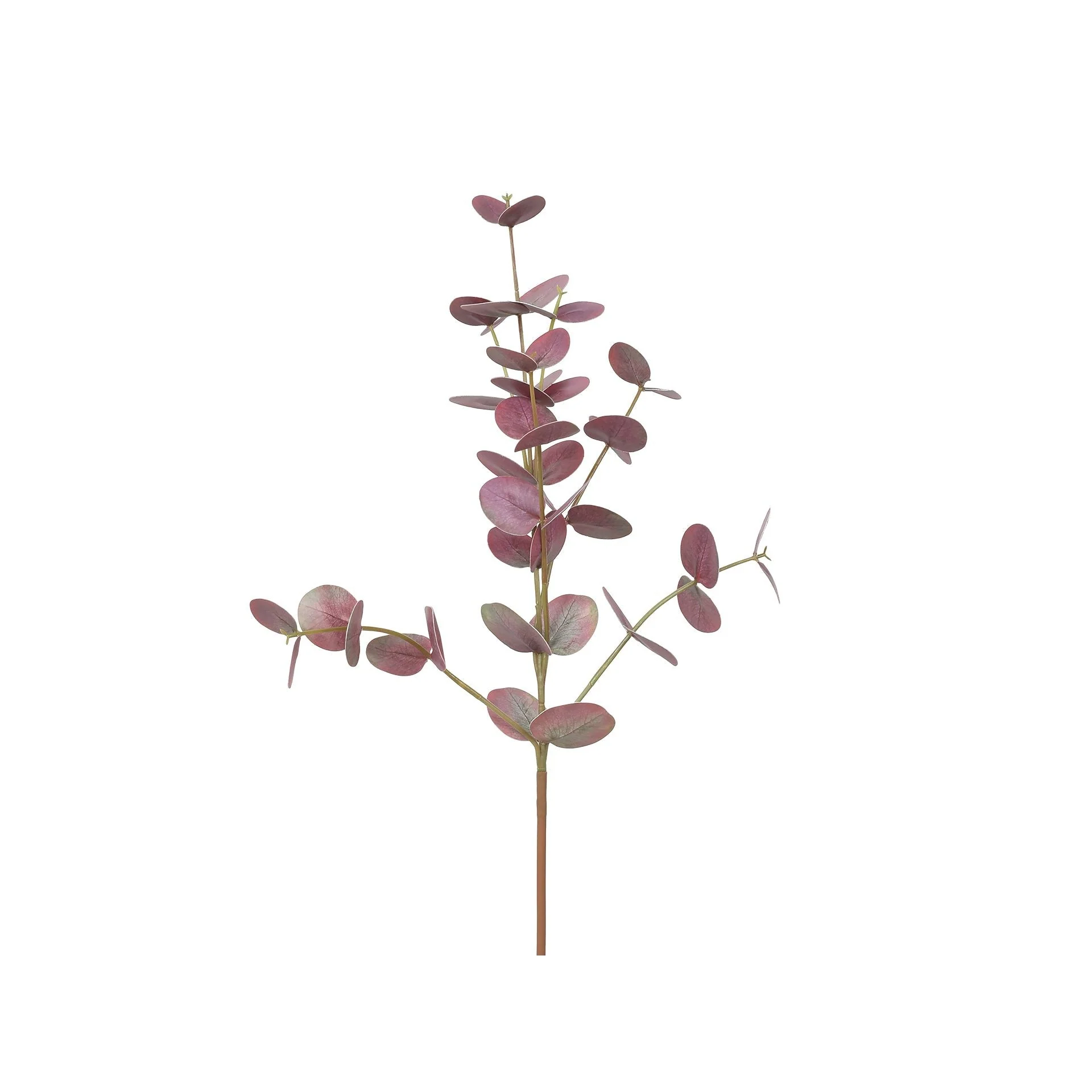 Eucalyptus Branch Maple 75cm