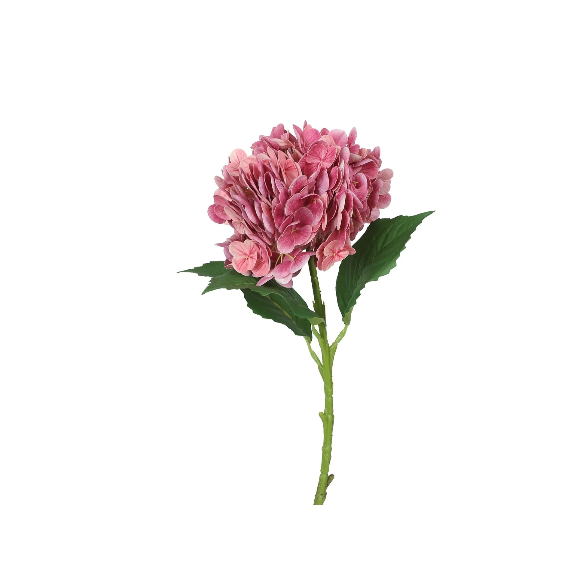 Hydrangea Spray Fuchsia 50cm