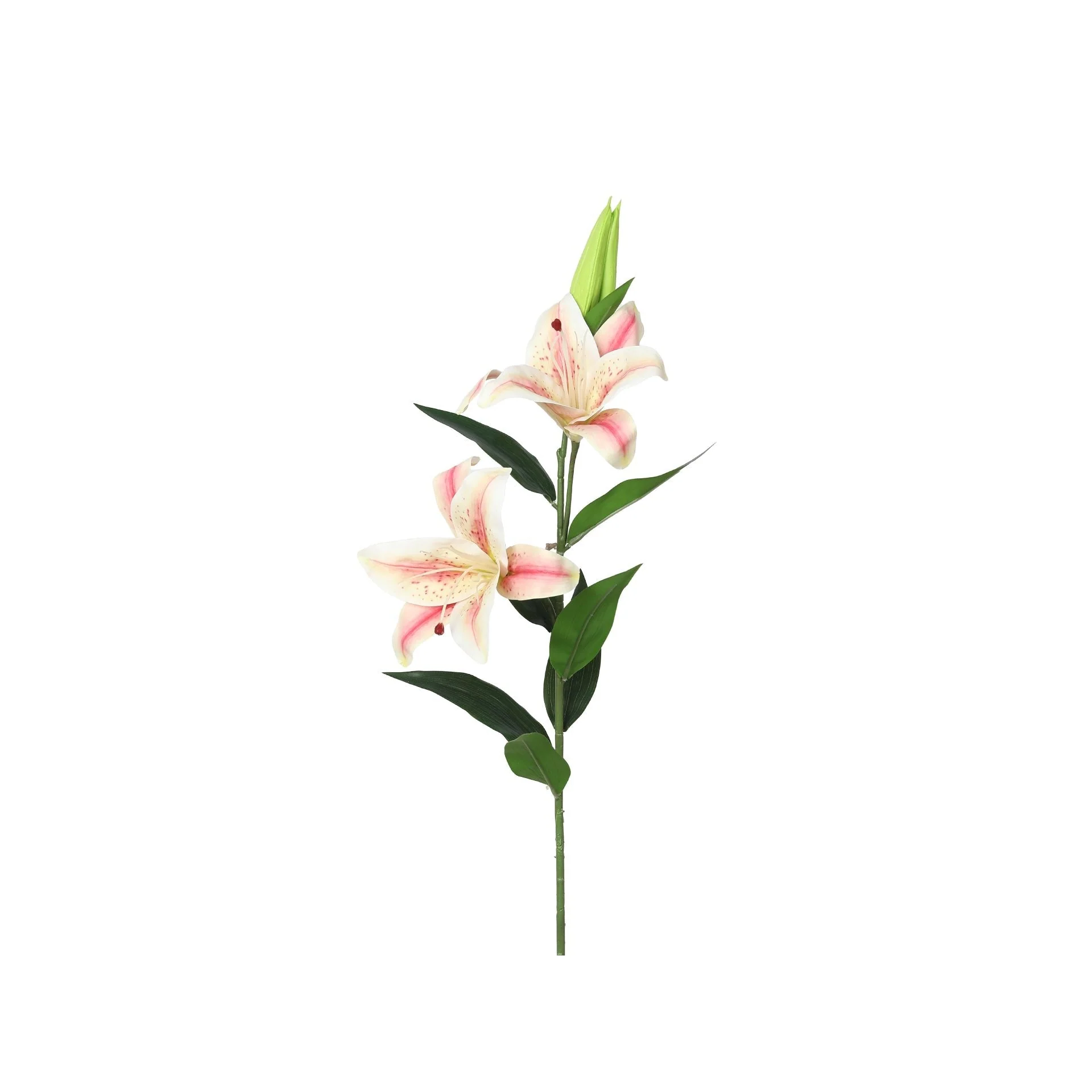 Lily Spray 3 Headed Champagne 90cm