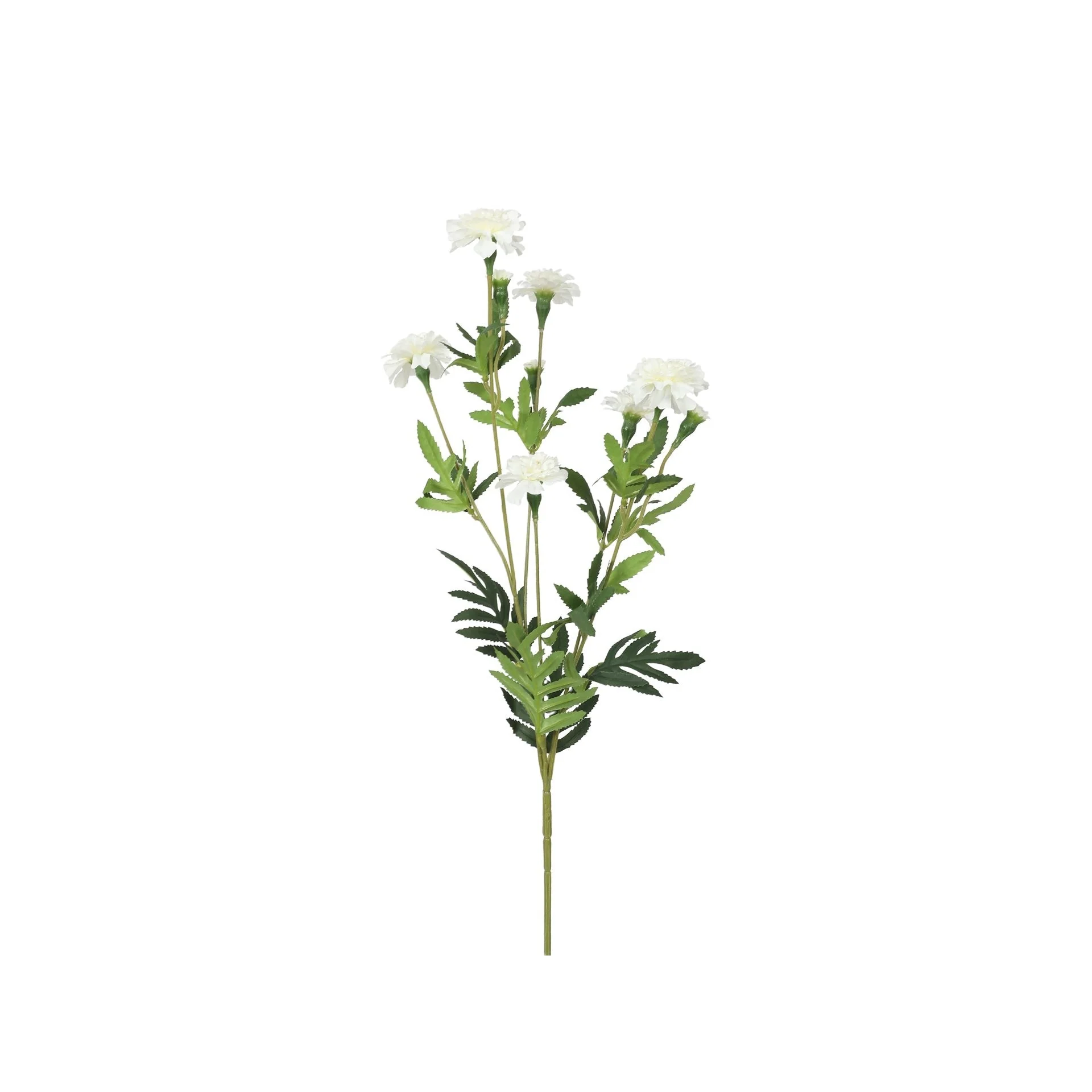Marigold Spray White 85cm