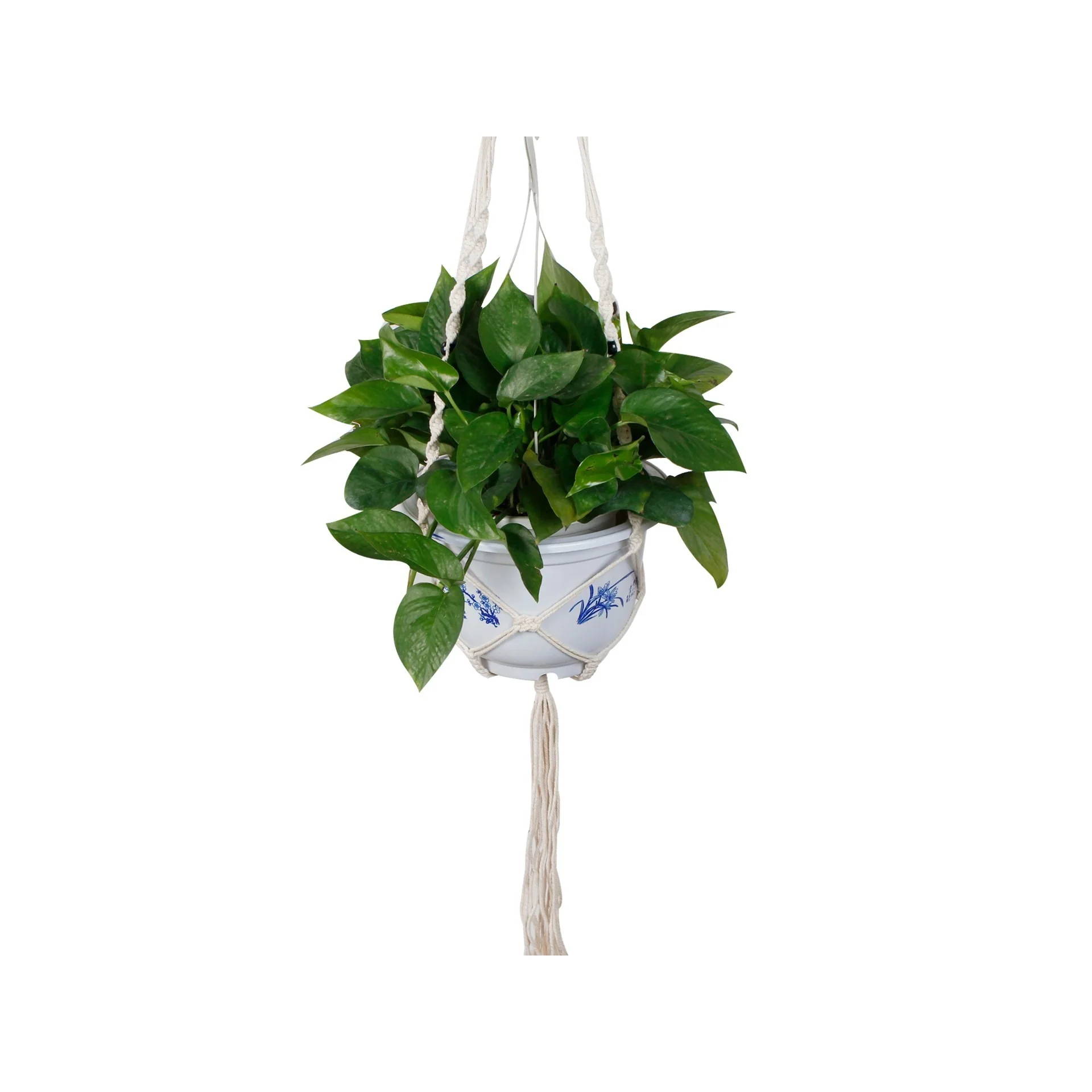 Mecrame Rope Plant Hanger Indoor Pot Plant Hanger - Image 3