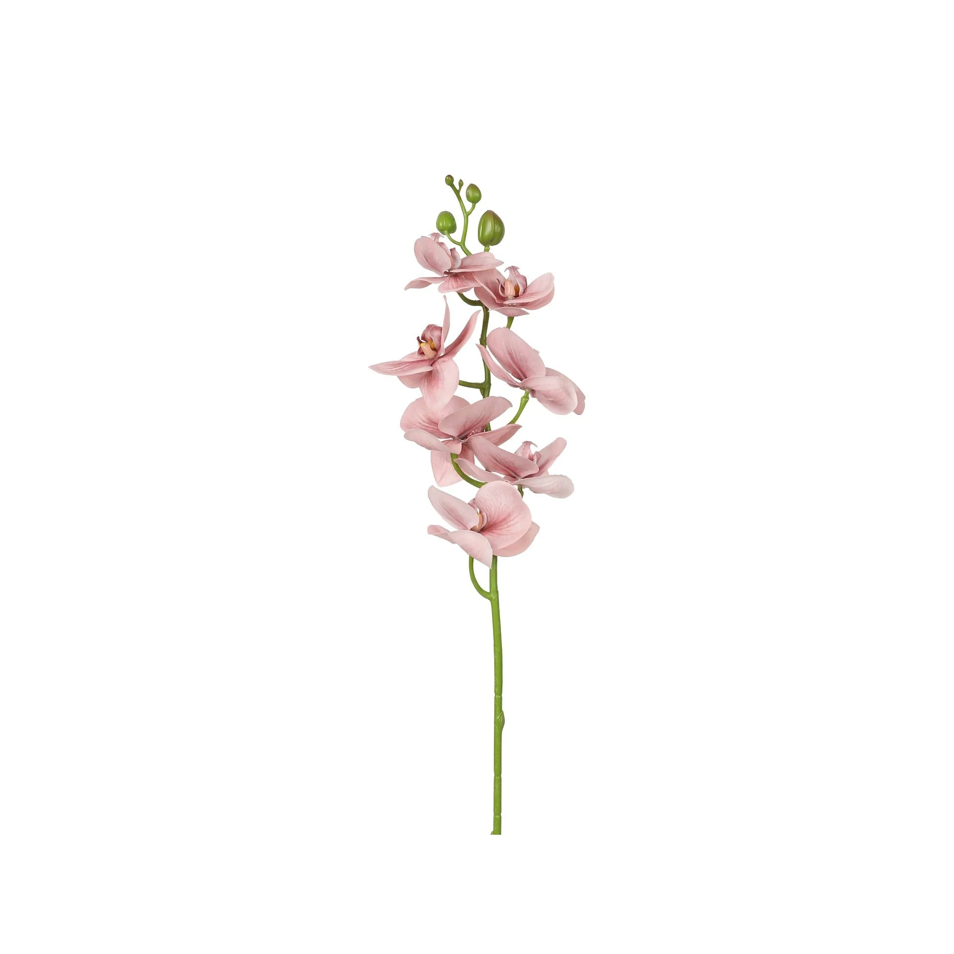 Orchid Spray Pink 80cm