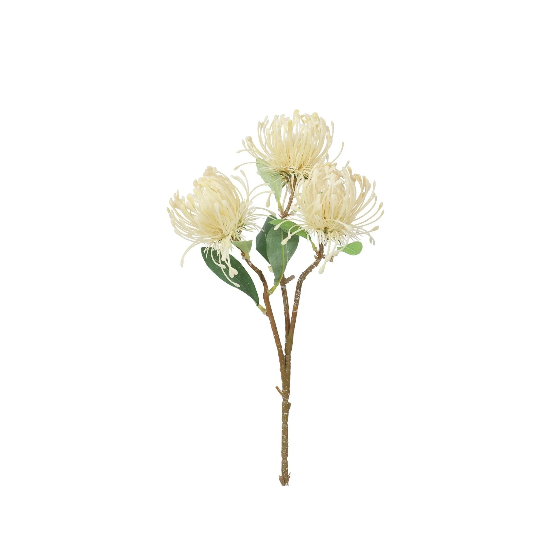 Pincushions Spray White 60cm