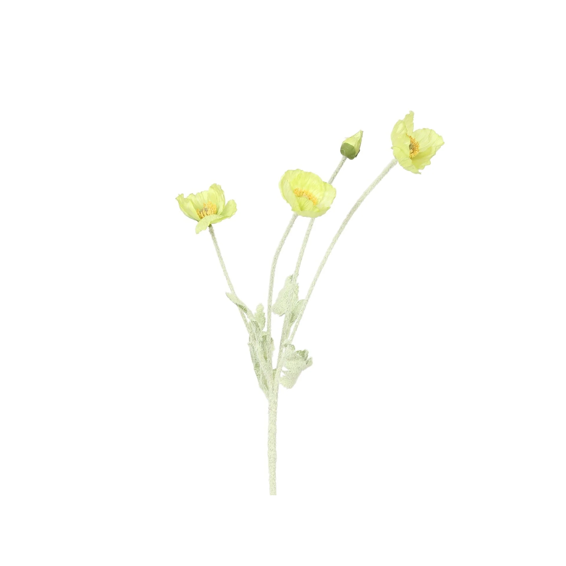 Poppy Spray Green 60cm