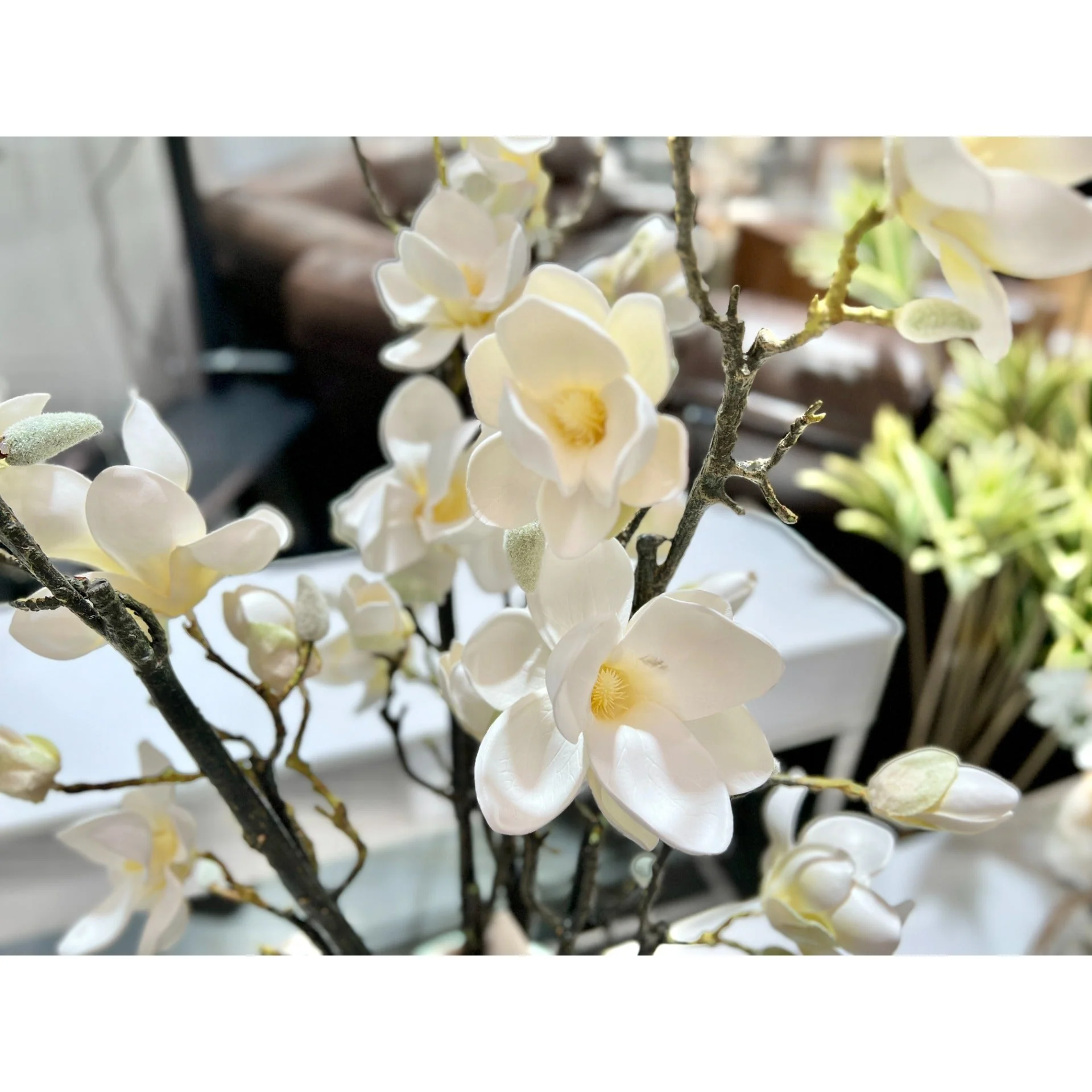 Premium Magnolia White XL 135cm - Image 5