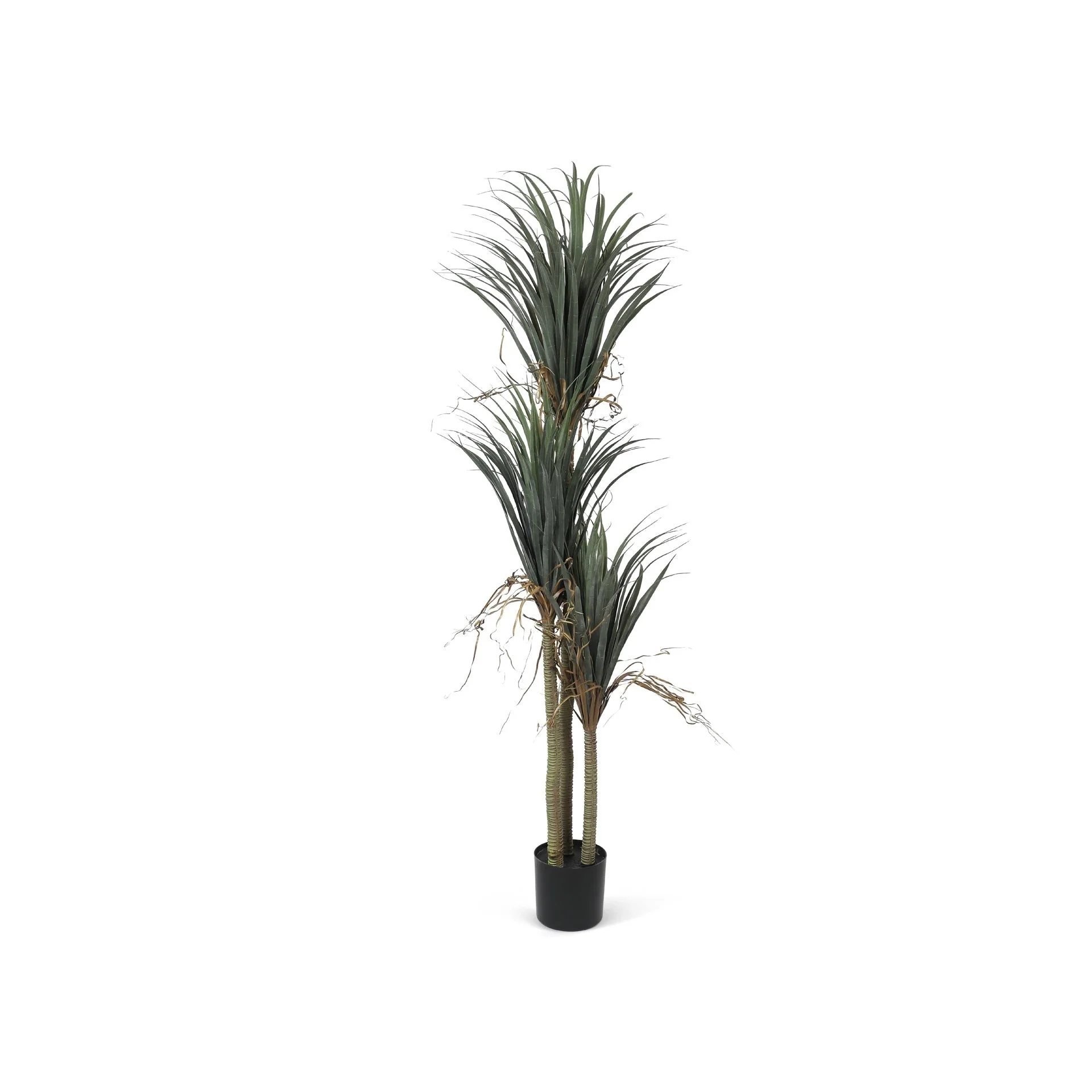 Premium Real Touch Artificial Dracaena Plant with Pot 200cm