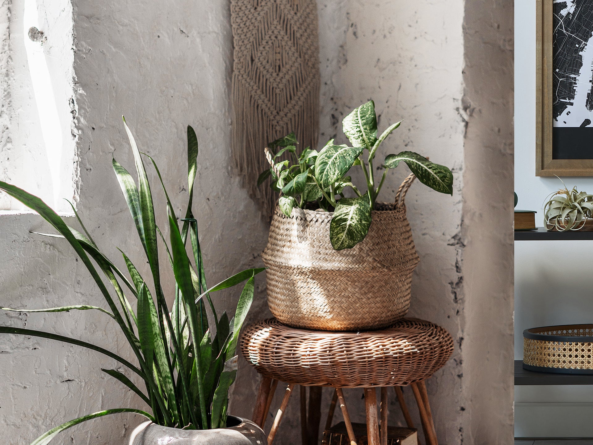 Seagrass Woven Basket Belly Basket - Set of 2 - S/M - Image 2